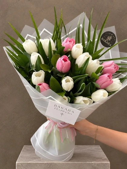Tulip Élise