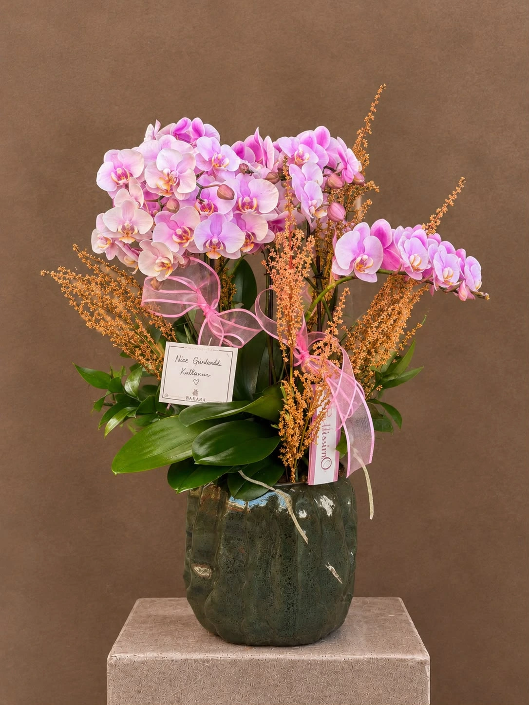 Bellisimo Soft Pembe Orkide